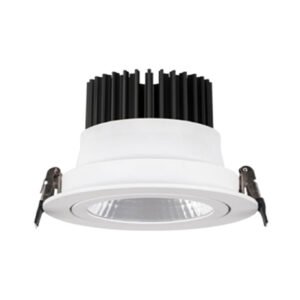 SPOT COB DOWN LIGHT